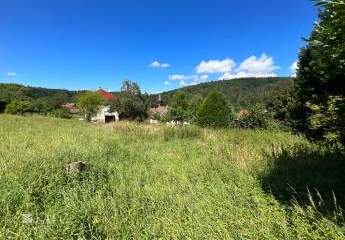 473447-Vorschaubild3