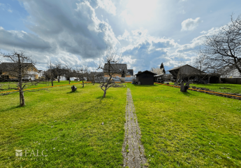 475206-Vorschaubild2