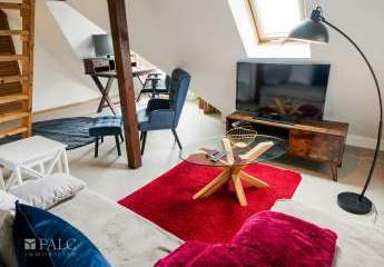 480998-Vorschaubild3