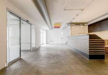 484189-Vorschaubild3