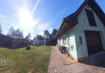 382664-Vorschaubild3