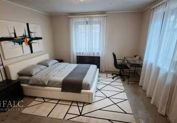 462467-Vorschaubild2