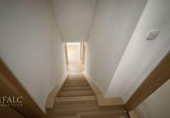 462467-Vorschaubild4