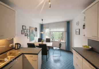 485899-Vorschaubild3