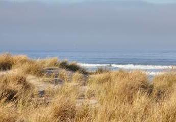 413724-Vorschaubild2