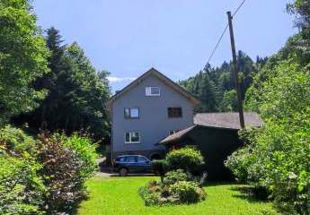 453963-Vorschaubild2