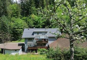 453963-Vorschaubild3