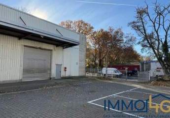 461915-Vorschaubild2