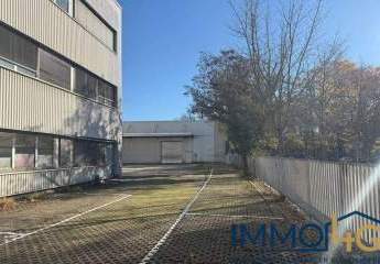 461915-Vorschaubild3