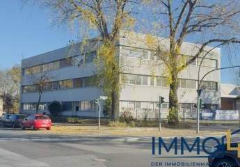 461917-Vorschaubild4