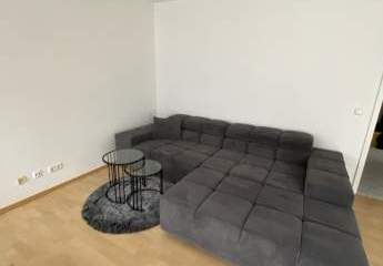 462264-Vorschaubild3