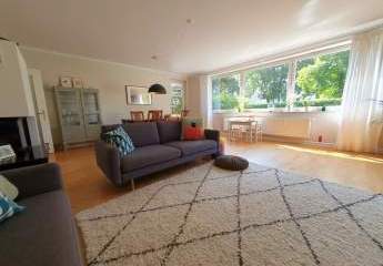 459004-Vorschaubild3