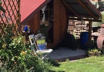 472278-Vorschaubild3