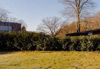 476835-Vorschaubild3