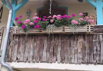 477713-Vorschaubild3