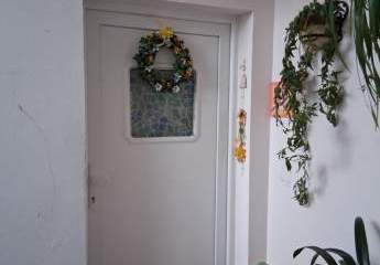 478956-Vorschaubild4