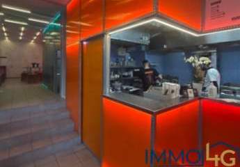 481559-Vorschaubild2