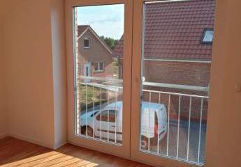 481869-Vorschaubild4