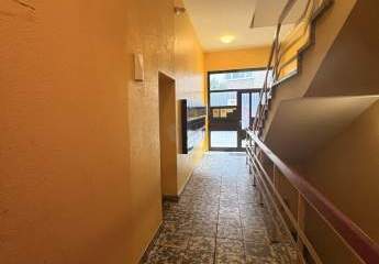 483746-Vorschaubild3