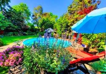 483885-Vorschaubild2