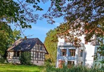 484311-Vorschaubild3