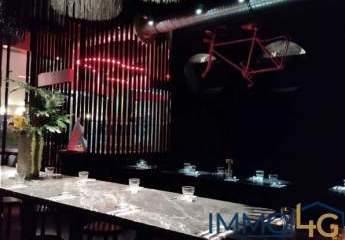 486383-Vorschaubild3