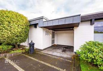 443541-Vorschaubild3