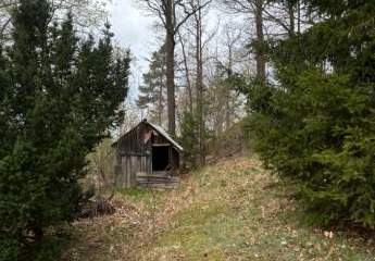 487904-Vorschaubild4