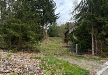 487904-Vorschaubild3