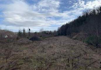 gewerbliches Grundstückspaket – 38222m² - am Bhf./Bahngleisen