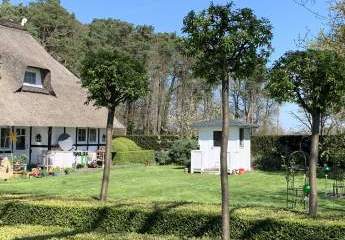 Liebhaber Objekt - Charmantes reetgedecktes Landhaus in exponierter Lage mit großzügigem Grundstück