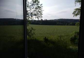 358229-Vorschaubild3