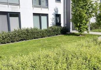 358556-Vorschaubild3