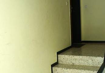 411406-Vorschaubild3