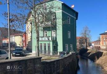 477341-Vorschaubild3