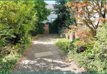 468794-Vorschaubild3