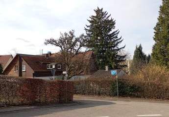 475267-Vorschaubild3