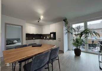 456690-Vorschaubild3