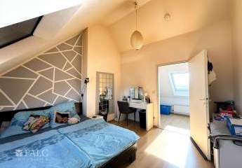 428981-Vorschaubild4