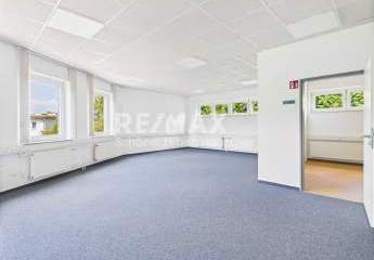 451229-Vorschaubild2