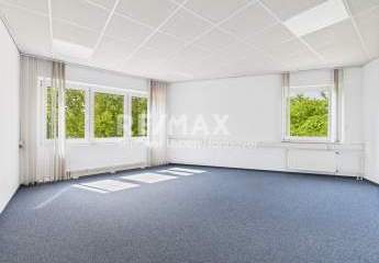 461911-Vorschaubild4