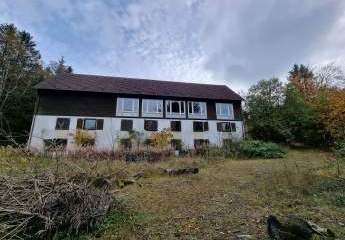 468211-Vorschaubild3