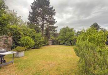 444463-Vorschaubild4