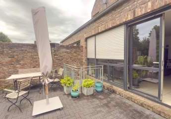 444463-Vorschaubild2