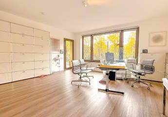 466055-Vorschaubild3