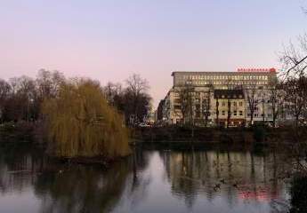 484699-Vorschaubild3