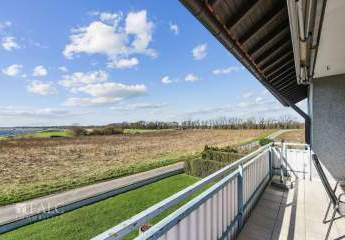 481516-Vorschaubild3