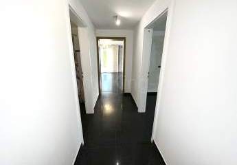 427541-Vorschaubild3