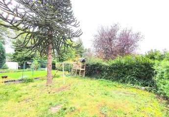 460722-Vorschaubild4