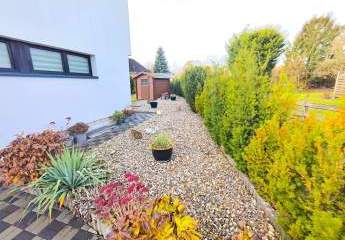 462664-Vorschaubild3